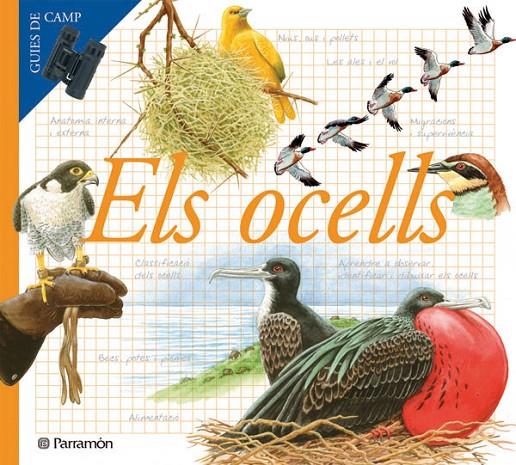 Els ocells | 9788434228283 | Julivert Zamarreño, Àngels | Llibres.cat | Llibreria online en català | La Impossible Llibreters Barcelona