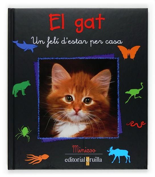 GAT, EL | 9788466114240 | FRATTINI, STEPHANE | Llibres.cat | Llibreria online en català | La Impossible Llibreters Barcelona