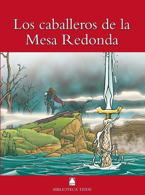 CABALLEROS DE LA MESA REDONDA (ADAPTACION), LOS | 9788430760244 | Fortuny Giné, Joan Baptista/Martí Raüll, Salvador/López García, José Ramón | Llibres.cat | Llibreria online en català | La Impossible Llibreters Barcelona