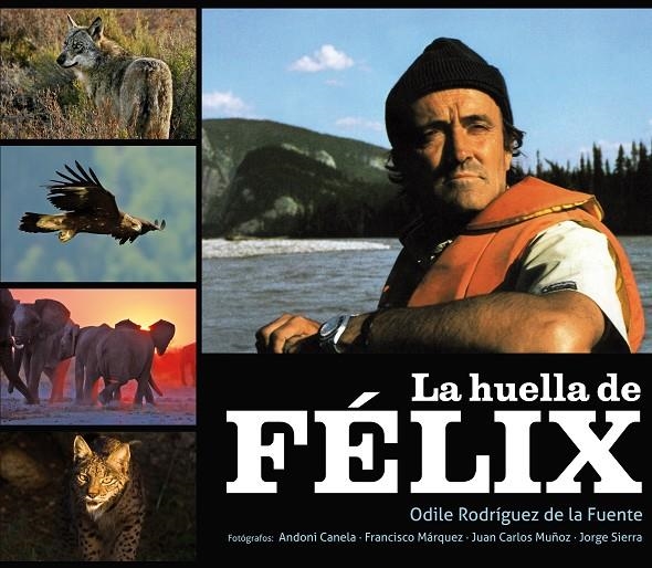 La huella de felix  | 9788425345685 | Rodriguez de la fuente, Odile | Llibres.cat | Llibreria online en català | La Impossible Llibreters Barcelona