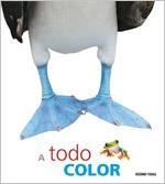 A todo color | 9786074003741 | Diversos | Llibres.cat | Llibreria online en català | La Impossible Llibreters Barcelona