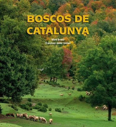 Boscos de Catalunya | 9788497857895 | Boada, Martí | Llibres.cat | Llibreria online en català | La Impossible Llibreters Barcelona