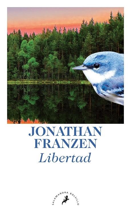 LIBERTAD | 9788498384789 | Franzen, Jonathan | Llibres.cat | Llibreria online en català | La Impossible Llibreters Barcelona