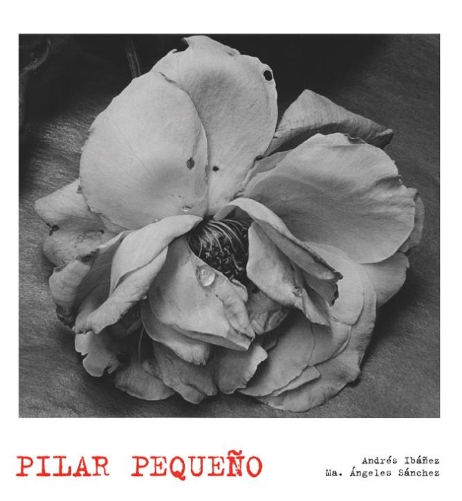 Pilar Pequeño | 9788497856874 | AA. VV. | Llibres.cat | Llibreria online en català | La Impossible Llibreters Barcelona