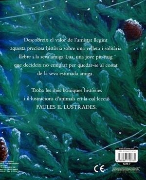 La llebre i la pit-roig | 9788467715781 | Diversos | Llibres.cat | Llibreria online en català | La Impossible Llibreters Barcelona