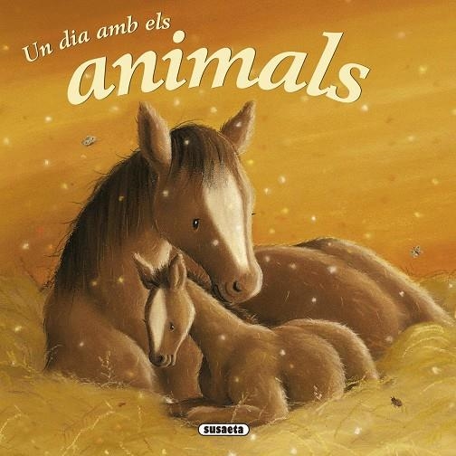 Un dia amb els cavalls | 9788467715828 | Diversos | Llibres.cat | Llibreria online en català | La Impossible Llibreters Barcelona