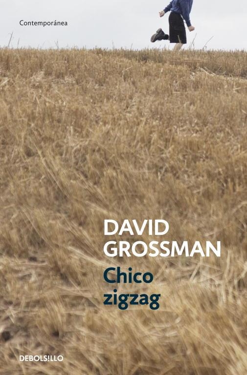 Chico zigzag | 9788499894805 | Grossman, David | Llibres.cat | Llibreria online en català | La Impossible Llibreters Barcelona