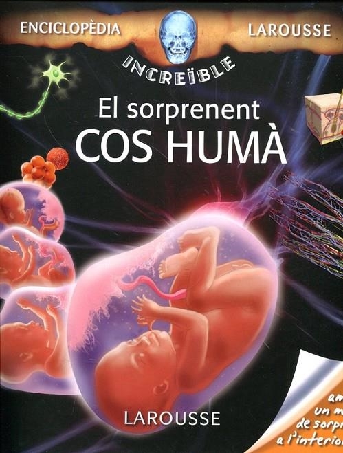 El sorprenent cos humà | 9788480169417 | Diversos | Llibres.cat | Llibreria online en català | La Impossible Llibreters Barcelona