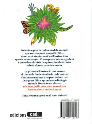 Endevinalles per abans d'anar a dormir | 9788447440597 | Duvovoy, Sílvia | Llibres.cat | Llibreria online en català | La Impossible Llibreters Barcelona