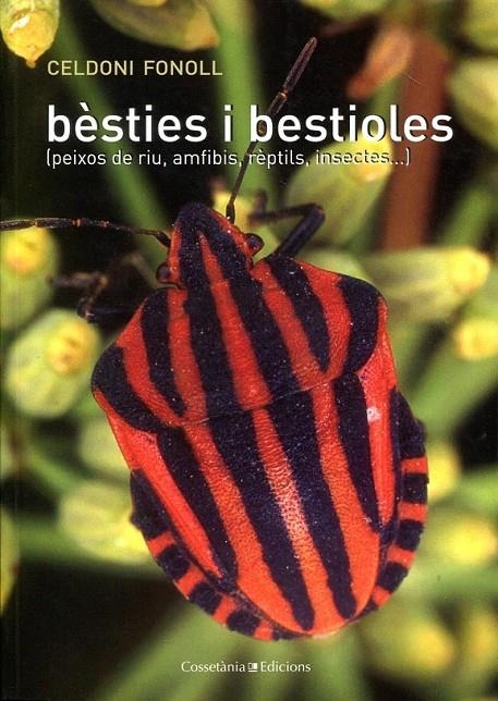 Bèsties i bestioles (peixos de riu, amfibis, rèptils, insectes...) | 9788497917568 | Fonoll, Celdoni | Llibres.cat | Llibreria online en català | La Impossible Llibreters Barcelona