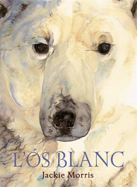 L'ós blanc | 9788489825734 | Morris, Jackie | Llibres.cat | Llibreria online en català | La Impossible Llibreters Barcelona