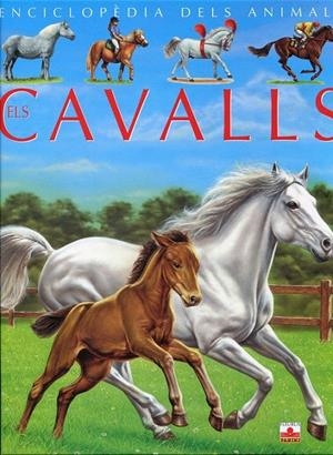 Els cavalls | 9782215096887 | Beaumont, Émile; Vandewiele, Agnès | Llibres.cat | Llibreria online en català | La Impossible Llibreters Barcelona