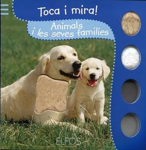 Animals i les seves famílies | 9788484233275 | Diversos Autors | Llibres.cat | Llibreria online en català | La Impossible Llibreters Barcelona