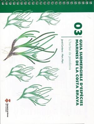 Guia submergible d'espècies marines de la Costa Brava 03. L'herbei de posidònia | 9788496747753 | Corbera, Jordi; Marí, Marc | Llibres.cat | Llibreria online en català | La Impossible Llibreters Barcelona