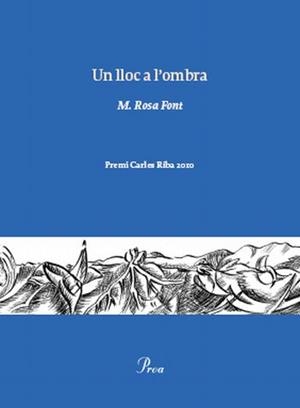 Un lloc a l'ombra | 9788475882222 | Font Massot, Rosa Maria | Llibres.cat | Llibreria online en català | La Impossible Llibreters Barcelona