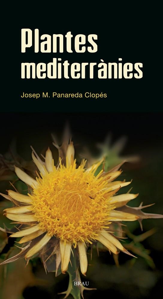 Plantes mediterrànies | 9788496905528 | Panadera Clopés, Josep M. | Llibres.cat | Llibreria online en català | La Impossible Llibreters Barcelona