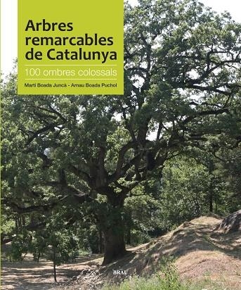 Arbres remarcables de Catalunya. 100 ombres colosals | 9788496905535 | Boada Juncà, Martí; Boada Puchol, Arnau | Llibres.cat | Llibreria online en català | La Impossible Llibreters Barcelona