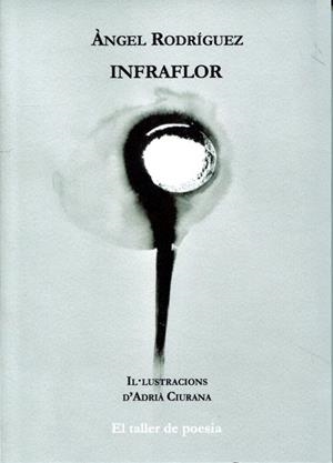 Infraflor | 9788492563418 | Rodríguez, Àngel | Llibres.cat | Llibreria online en català | La Impossible Llibreters Barcelona