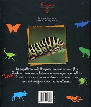 La papallona.Vola de flor en flor | 9788466125109 | Tracqui, Valérie | Llibres.cat | Llibreria online en català | La Impossible Llibreters Barcelona