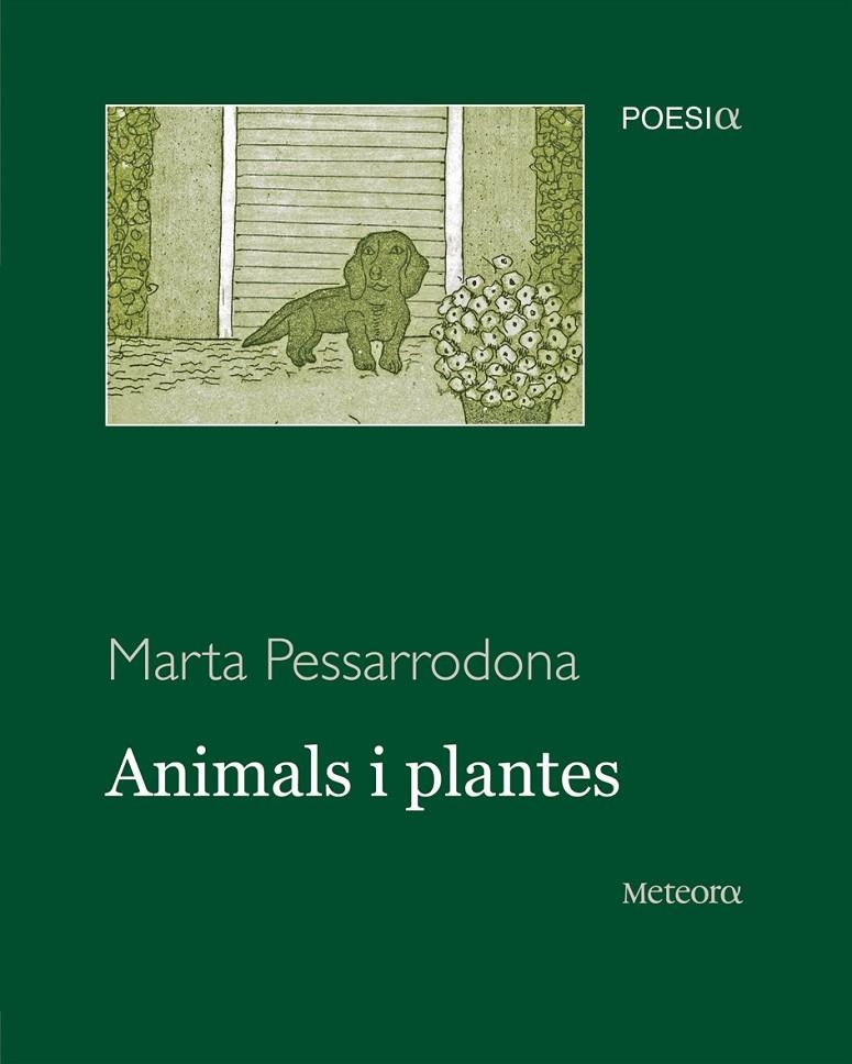 Animals i plantes | 9788495623973 | Pessarrodona, Marta | Llibres.cat | Llibreria online en català | La Impossible Llibreters Barcelona