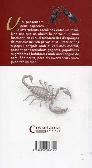 100 insectes i altres invertebrats fàcilment indentificables | 9788497916783 | Sañé, Jaume | Llibres.cat | Llibreria online en català | La Impossible Llibreters Barcelona