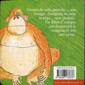 Davant de casa meva | 9788426137678 | Dubuc, Marianne | Llibres.cat | Llibreria online en català | La Impossible Llibreters Barcelona