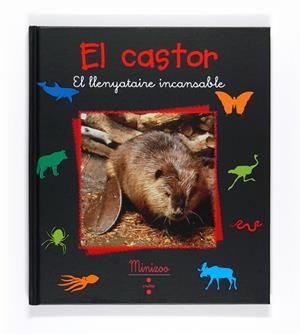 El castor. El llenyataire incansable | 9788466124232 | Tracqui, Valérie | Llibres.cat | Llibreria online en català | La Impossible Llibreters Barcelona