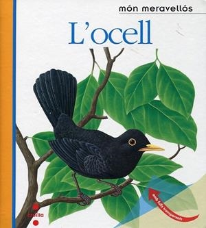 L'ocell | 9788466125161 | Delafosse, Claude; Mettler, René | Llibres.cat | Llibreria online en català | La Impossible Llibreters Barcelona