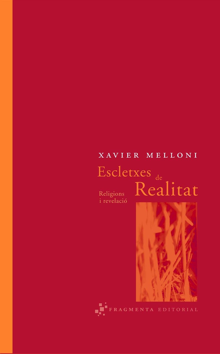 ESCLETXES DE REALITAT | 9788493569501 | MELLONI, XAVIER | Llibres.cat | Llibreria online en català | La Impossible Llibreters Barcelona