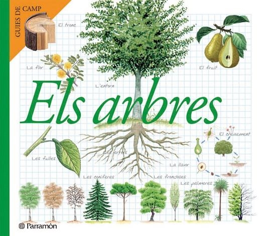 ARBRES, ELS | 9788434228320 | Julivert Zamarreño, Àngels | Llibres.cat | Llibreria online en català | La Impossible Llibreters Barcelona