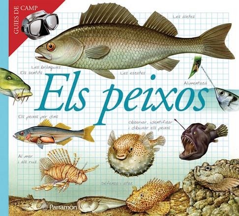 Els peixos | 9788434228405 | Autors-diversos | Llibres.cat | Llibreria online en català | La Impossible Llibreters Barcelona