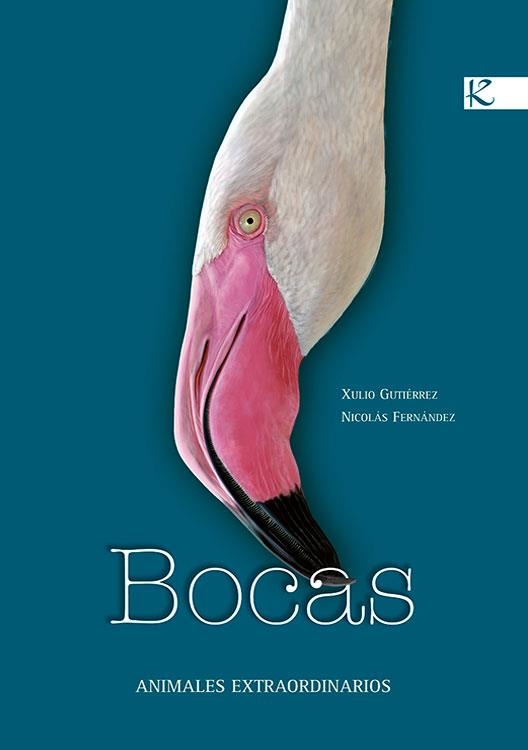 BOCAS | 9788496957282 | DIVERSOS | Llibres.cat | Llibreria online en català | La Impossible Llibreters Barcelona