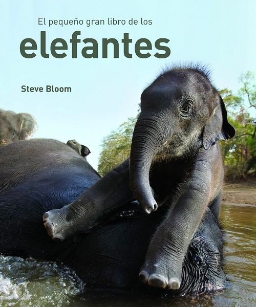 PEQUEÑO GRAN LIBRO DE LOS ELEFANTES, EL | 9788497543057 | BLOOM, STEVE | Llibres.cat | Llibreria online en català | La Impossible Llibreters Barcelona