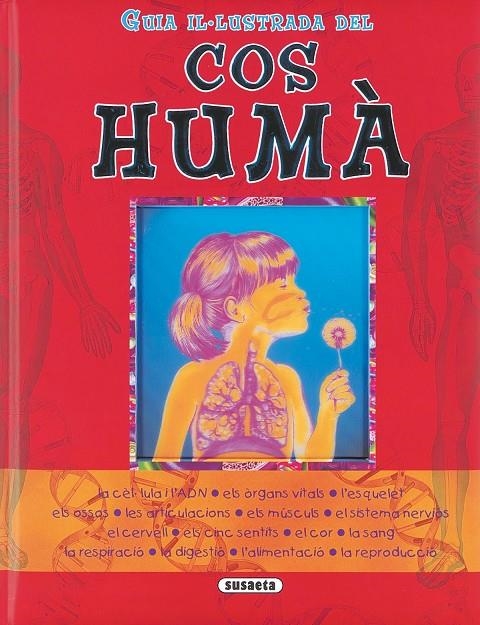 Guia il·lustrada del cos humà | 9788430560967 | Guidi, Vincenzo | Llibres.cat | Llibreria online en català | La Impossible Llibreters Barcelona