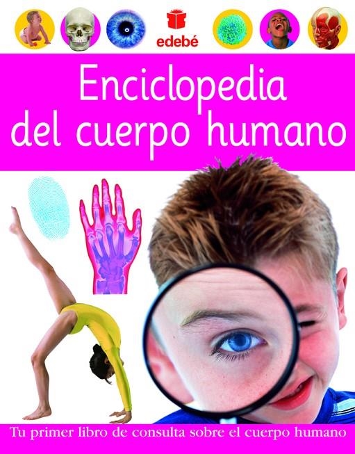 ENCICLOPEDIA DEL CUERPO HUMANO | 9788423674435 | DORLING KINDERSLEY LIMITED | Llibres.cat | Llibreria online en català | La Impossible Llibreters Barcelona