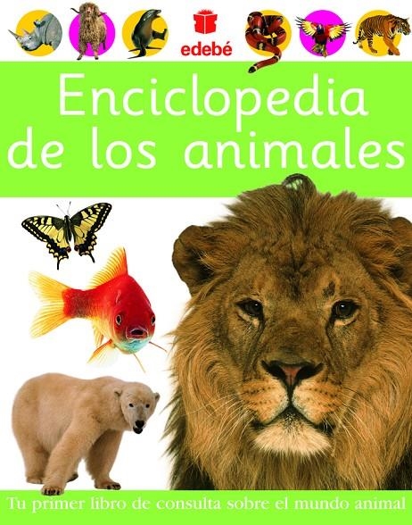 ENCICLOPEDIA DE LOS ANIMALES | 9788423674428 | DORLING KINDERSLEY PUBLISHING | Llibres.cat | Llibreria online en català | La Impossible Llibreters Barcelona