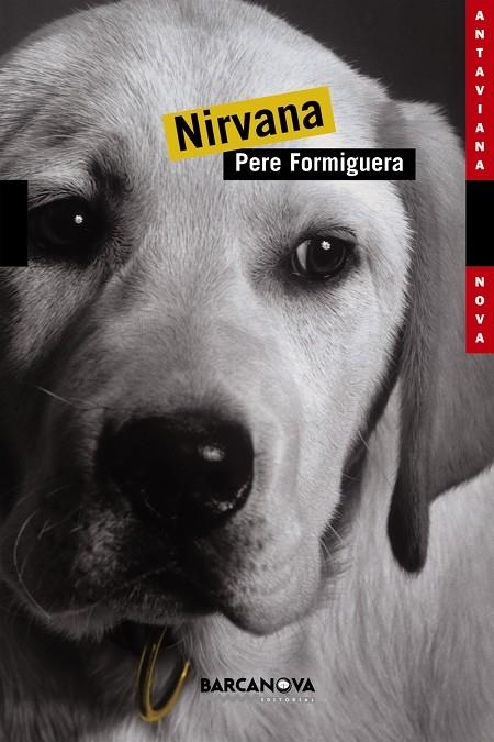 NIRVANA | 9788448919443 | FORMIGUERA, PERE | Llibres.cat | Llibreria online en català | La Impossible Llibreters Barcelona