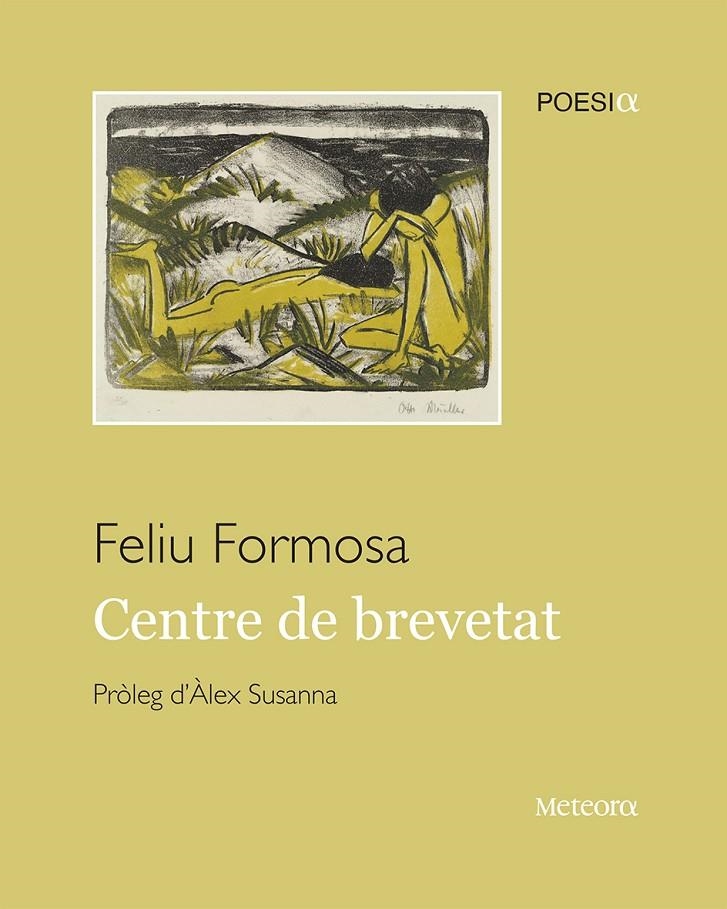 CENTRE DE BREVETAT | 9788495623492 | Formosa, Feliu | Llibres.cat | Llibreria online en català | La Impossible Llibreters Barcelona