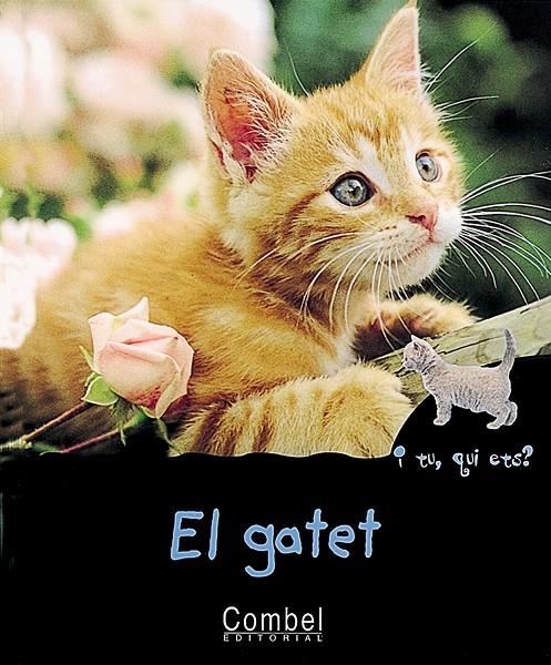 El gatet | 9788478642304 | Montardre, Hélène | Llibres.cat | Llibreria online en català | La Impossible Llibreters Barcelona