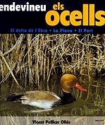 Endevineu els ocells. El delta de l'Ebre - La Plana - El Port | 9788495684653 | Pellicer Ollés, Vicent | Llibres.cat | Llibreria online en català | La Impossible Llibreters Barcelona