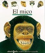 El mico | 9788482863610 | Prunier, James ; Jeunesse, Gallimard | Llibres.cat | Llibreria online en català | La Impossible Llibreters Barcelona