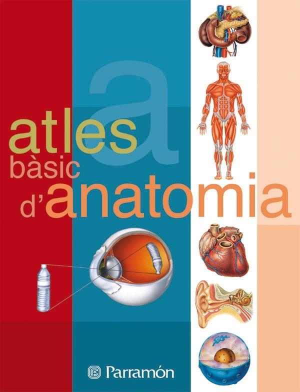 Atles d'anatomia | 9788434223134 | Autors diversos | Llibres.cat | Llibreria online en català | La Impossible Llibreters Barcelona