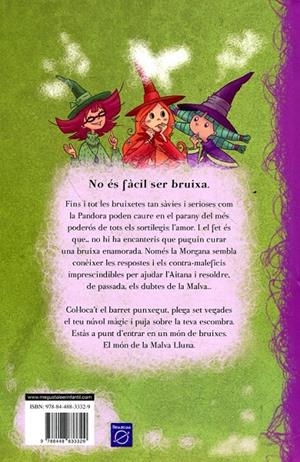 La bruixa enamorada | 9788448833329 | del Castillo, E. B. | Llibres.cat | Llibreria online en català | La Impossible Llibreters Barcelona