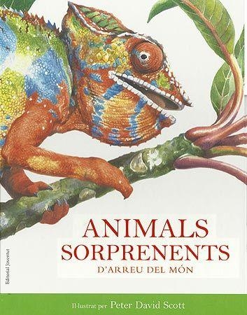 Animals sorprenents d'arreu del món | 9788426138712 | Diversos | Llibres.cat | Llibreria online en català | La Impossible Llibreters Barcelona