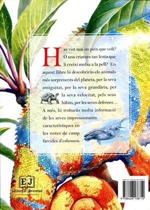 Animals sorprenents d'arreu del món | 9788426138712 | Diversos | Llibres.cat | Llibreria online en català | La Impossible Llibreters Barcelona