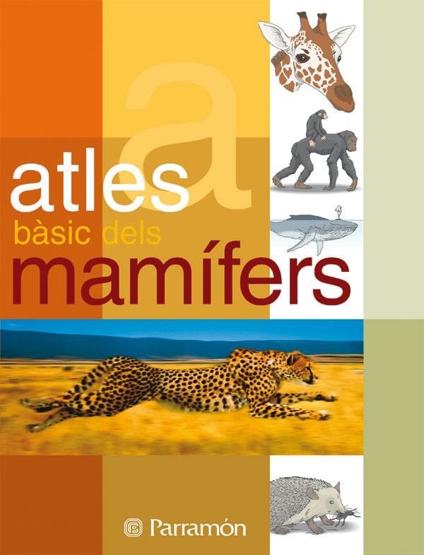 Atles bàsic dels mamífers | 9788434229525 | Diversos | Llibres.cat | Llibreria online en català | La Impossible Llibreters Barcelona