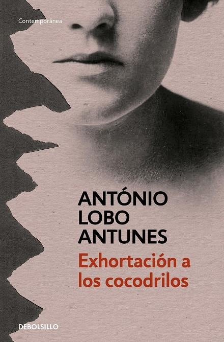 Exhortación a los cocodrilos | 9788499899664 | LOBO ANTUNES,ANTONIO | Llibres.cat | Llibreria online en català | La Impossible Llibreters Barcelona