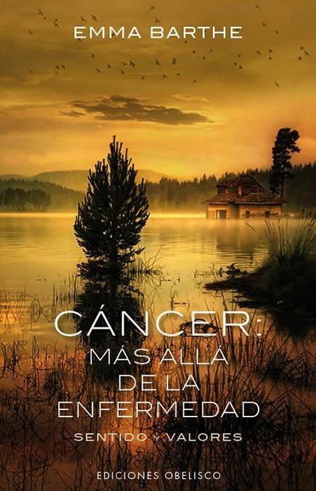 CÁNCER, MÁS ALLÁ DE LA ENFERMEDAD | 9788497779265 | BARTHE CARRERA, EMMA | Llibres.cat | Llibreria online en català | La Impossible Llibreters Barcelona