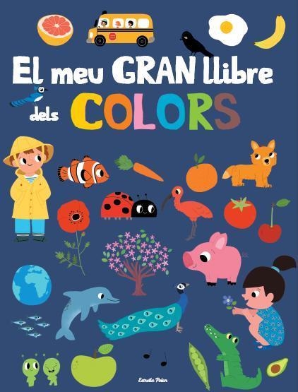 El meu gran llibre de colors | 9788415853879 | Fani Marceau/Marion Billet | Llibres.cat | Llibreria online en català | La Impossible Llibreters Barcelona