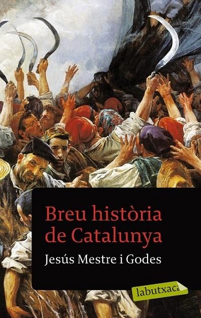 Breu història de Catalunya | 9788429771442 | Mestre Godes, Jesus | Llibres.cat | Llibreria online en català | La Impossible Llibreters Barcelona